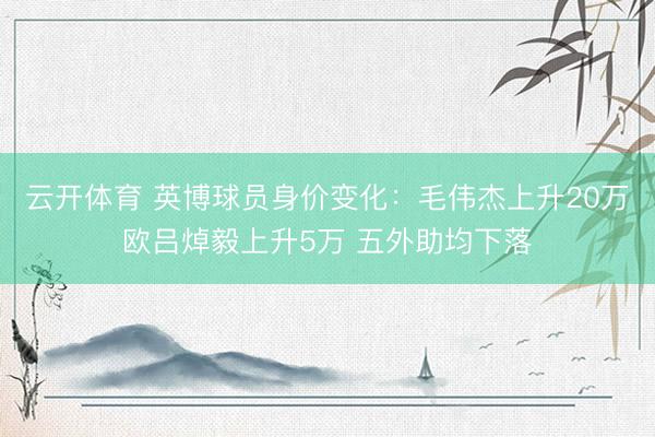 云开体育 英博球员身价变化：毛伟杰上升20万欧吕焯毅上升5万 五外助均下落