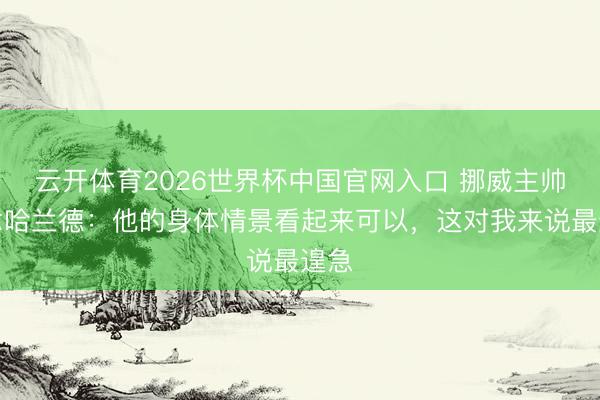 云开体育2026世界杯中国官网入口 挪威主帅说念哈兰德：他的身体情景看起来可以，这对我来说最遑急