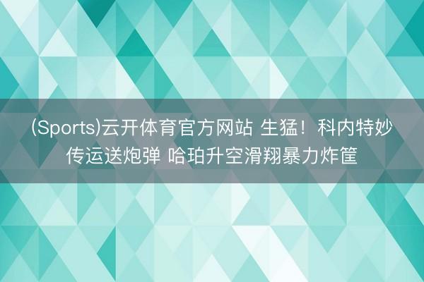 (Sports)云开体育官方网站 生猛！科内特妙传运送炮弹 哈珀升空滑翔暴力炸筐