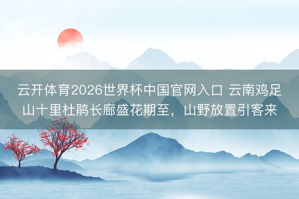 云开体育2026世界杯中国官网入口 云南鸡足山十里杜鹃长廊盛花期至,山野放置引客来