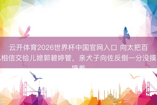 云开体育2026世界杯中国官网入口 向太把百亿相信交给儿媳郭碧婷管,亲犬子向佐反倒一分没摸着